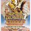 Blazing Saddles  movie cover