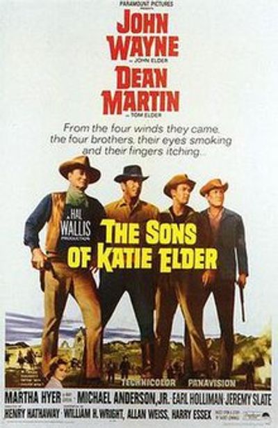 The Sons of Katie Elder movie cover
