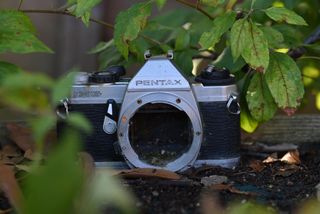 Nikon Nikkor Z 70-200mm f/2.8 VR S Review