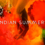  Indian Summers  movie cover