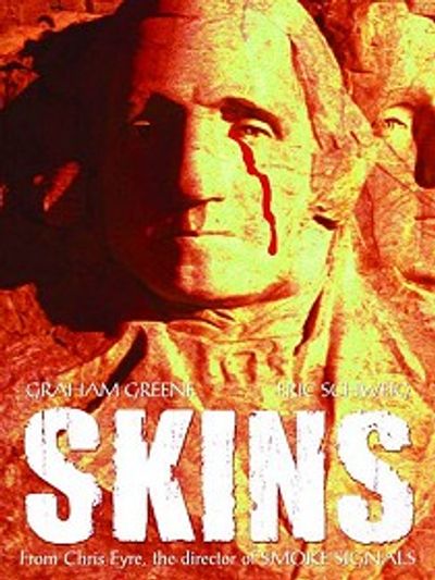Skins movie cover