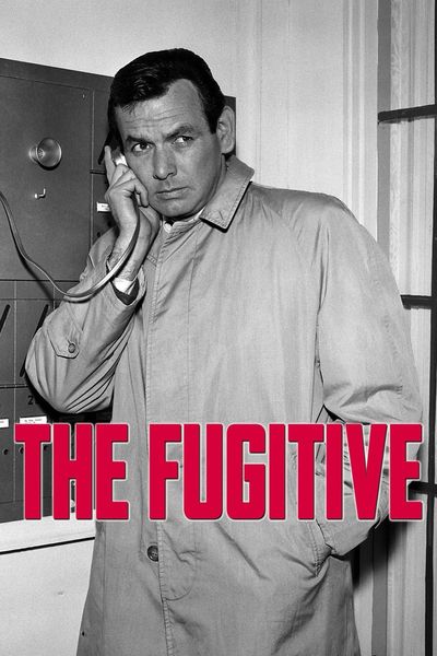 The Fugitive movie cover
