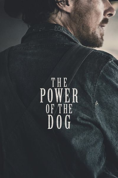 The Power of the Dog movie cover