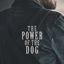 The Power of the Dog movie cover
