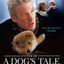 Hachi: A Dog's Tale movie cover