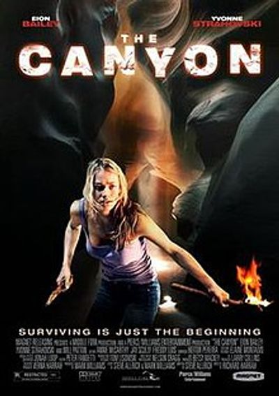 The Canyon movie cover