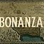  Bonanza movie cover