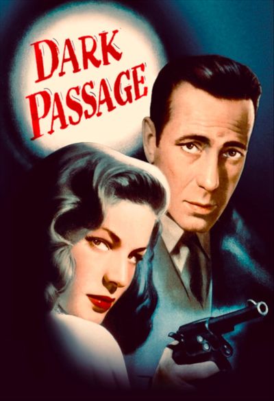 Dark Passage movie cover