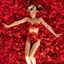 American Beauty movie cover