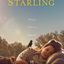 The Starling movie cover
