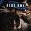 Bird Box movie cover