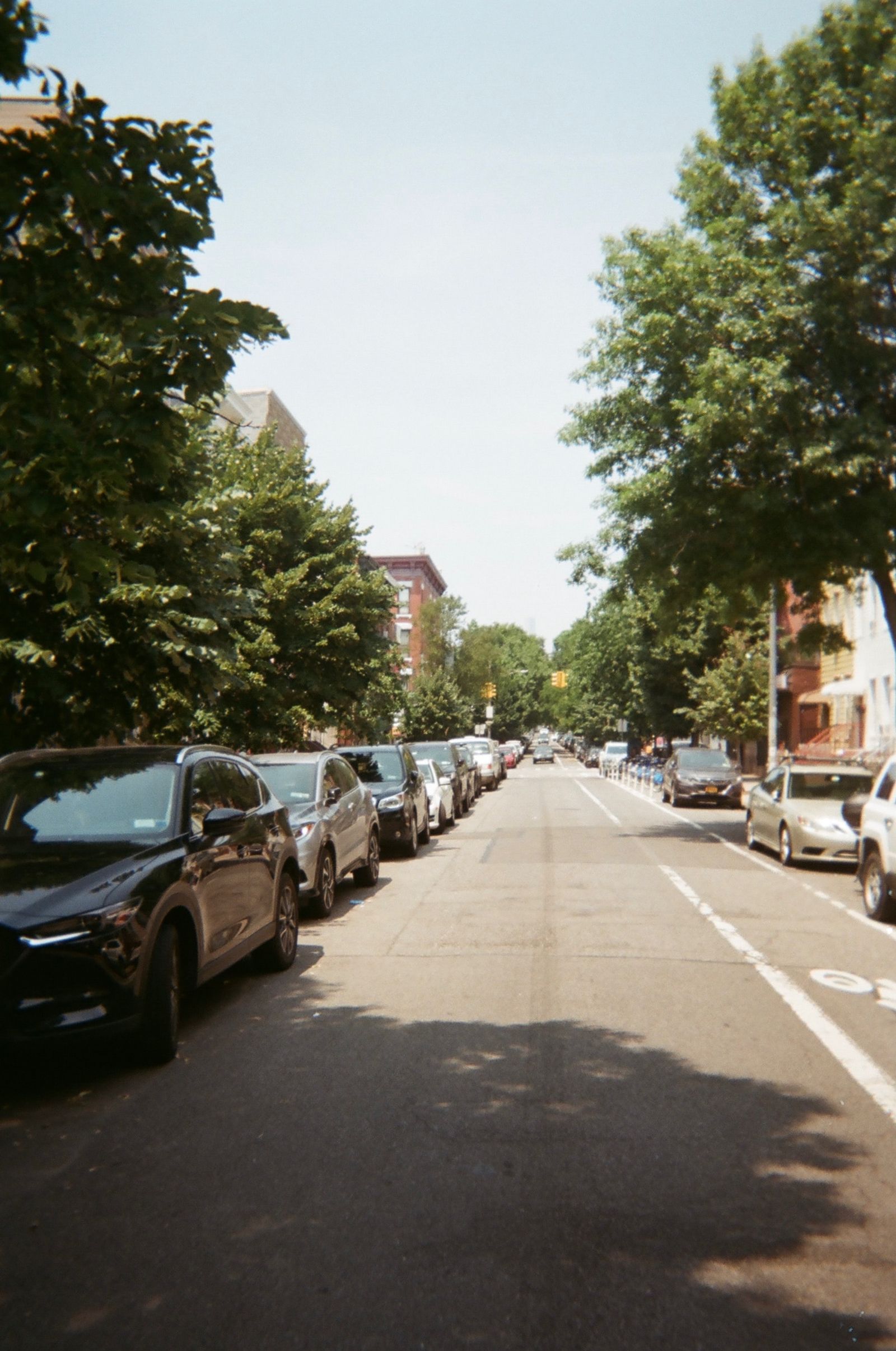 Filming In Greenpoint, New York