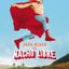 Nacho Libre movie cover