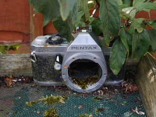 Meike 28mm f/2.8 Lens Review