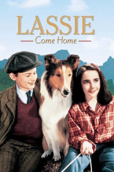 Episode of 'Lassie' filmed in Pisgah National Forest